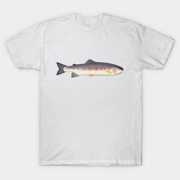 Mexican Golden Trout T-Shirt by FishFolkArt